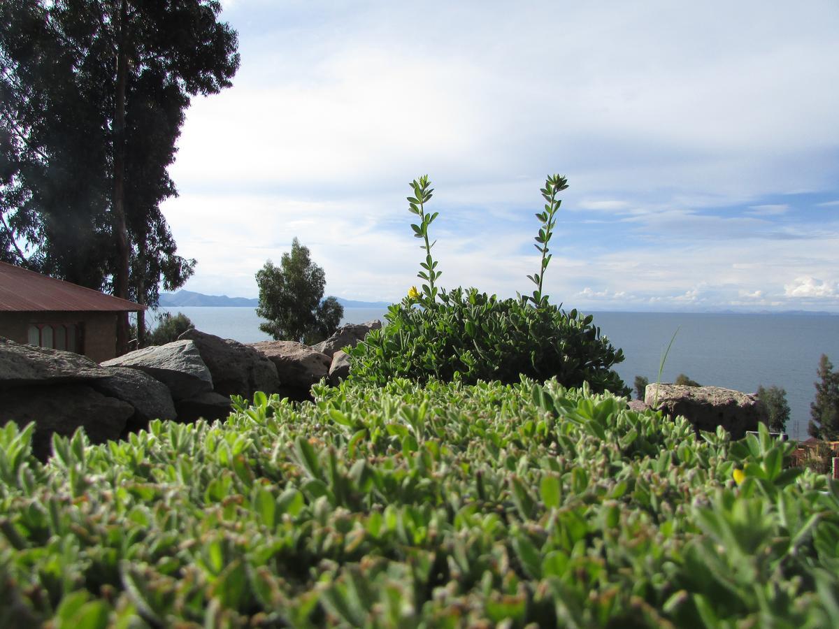 Affittacamere Titicaca Chaska Wasi Amantani Isla Amantani Esterno foto